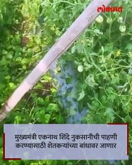 नाशिक जिल्ह्यामध्ये अवकाळी पाऊस गारपीट_1