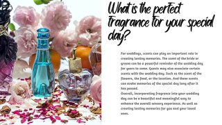 Finding The Perfect Fragrance For Your Special Day 12 Top-Rated Wedding Perfumes For Brides and Grooms
