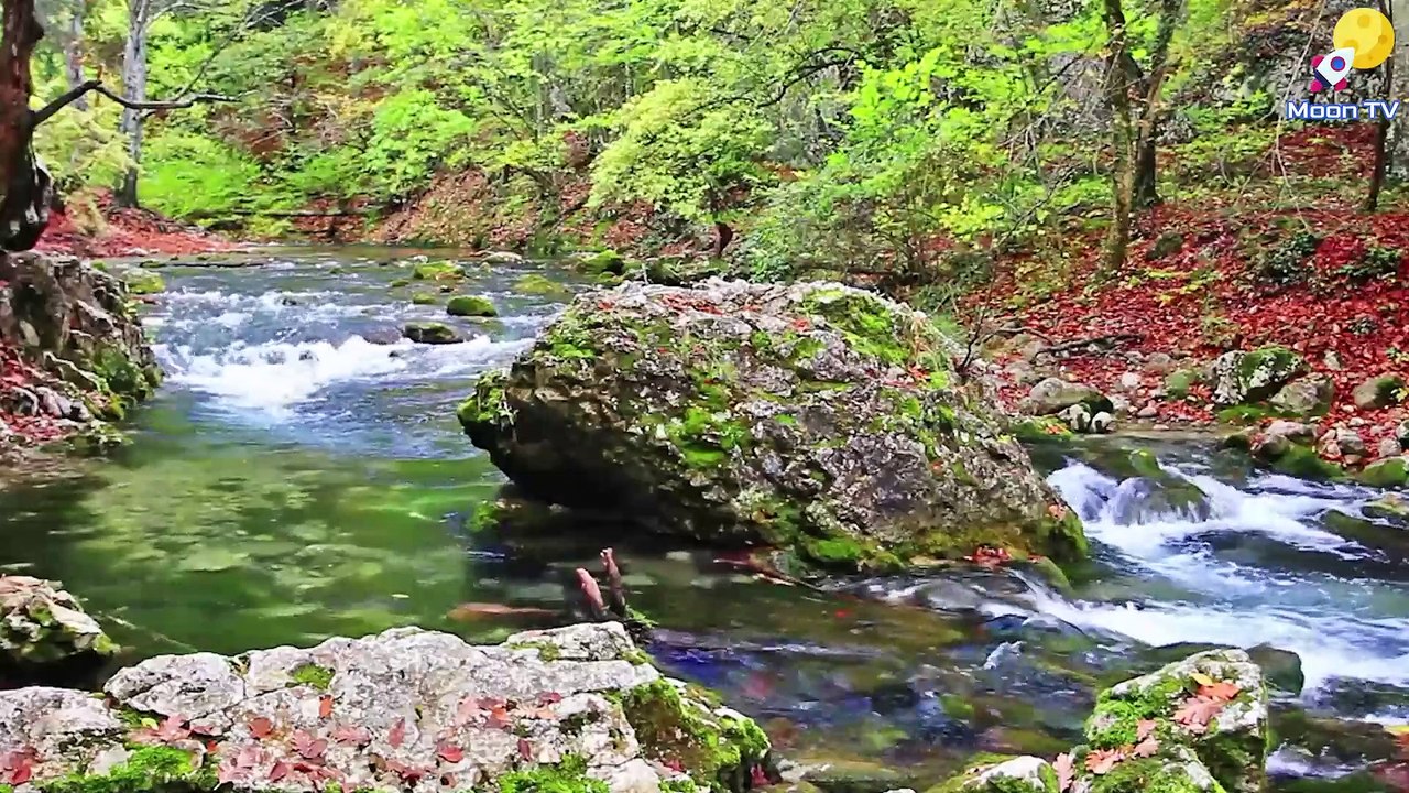 Relaxation Music for Inner Healing - video Dailymotion