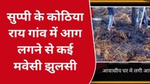 सीतामढ़ी: सुप्पी में देर रात एक घर में लगी आग, हजारों का सामान समेत छह मवेशी झुलसे