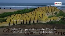 20ft Long Sand Art By Sudarsan Pattnaik To Celebrate 50 Years Of Project Tiger