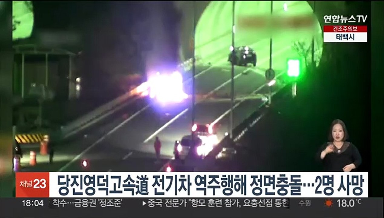 당진영덕고속도로서 전기차-승용차 정면충돌 2명 사망…역주행 조사