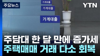 거래 좀 풀리나 싶더니...주담대 한 달 만에 다시 증가 / YTN