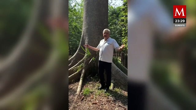 AMLO asegura que quieren prohibir 'Las Mañaneras'; no van a poder , advierte