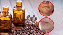 Face पर Coffee Oil लगाने से क्या होता है । Face पर Coffee Oil लगाने के फायदे । Boldsky