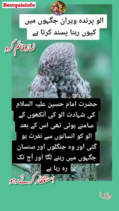 Sad Quotes In Urdu For Whatsapp Status | Urdu Quotes | Bestquizinfo #motivation #shorts #shortsfeed