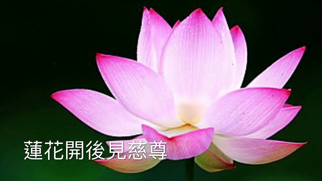 大迴向觀相文 佛曲 願我臨終無障礙 阿彌陀佛遠相迎