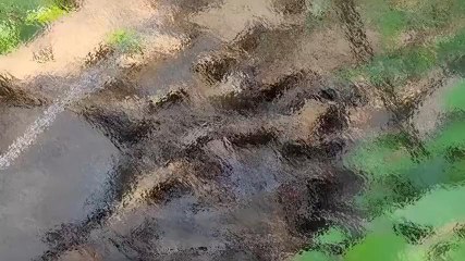 পশ্চিম মেদিনীপুর: বিভৎস! কঙ্কালসার দেহ উদ্ধার, মহিলা না পুরুষ খুঁজছে পুলিশ