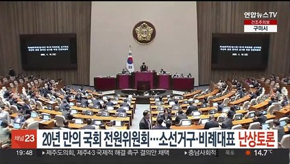 20년만의 '국회 전원위원회' 개막…소선거구제·비례대표 난상토론