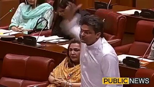 فیصل جاوید شدید غصے میں، فیصل جاوید کی سینیٹ میں گھن گرج آئین کی گولڈن جوبلی مناؤ! یادگار دستور پر قوم کے پیسے لگاؤ! بڑی بڑی بلڈنگز اور گیلریز تعمیر کرو | Public News | Breaking News | Viral Video