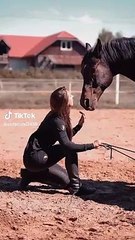 Beautiful horse | girl | horse videos
