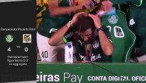 Palmeiras coach soaked by players after Paulista win