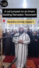 Cat jumps on imam leading Ramadan prayers in Algeria #youtubeshorts #youtube #ytshorts #shorts