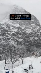 Explore Manali with Tour Package