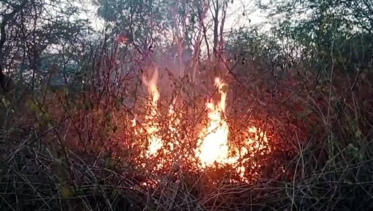 Çhitrakoot news video: सावधान यहां के जंगलों में धधक रही आग