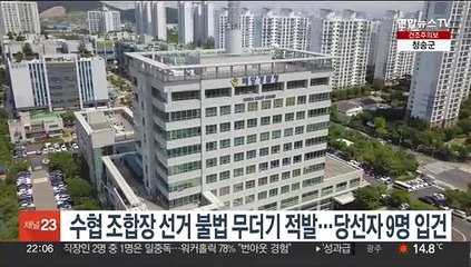 Скачать видео: 수협 조합장 선거 불법 무더기 적발…당선자 9명 입건