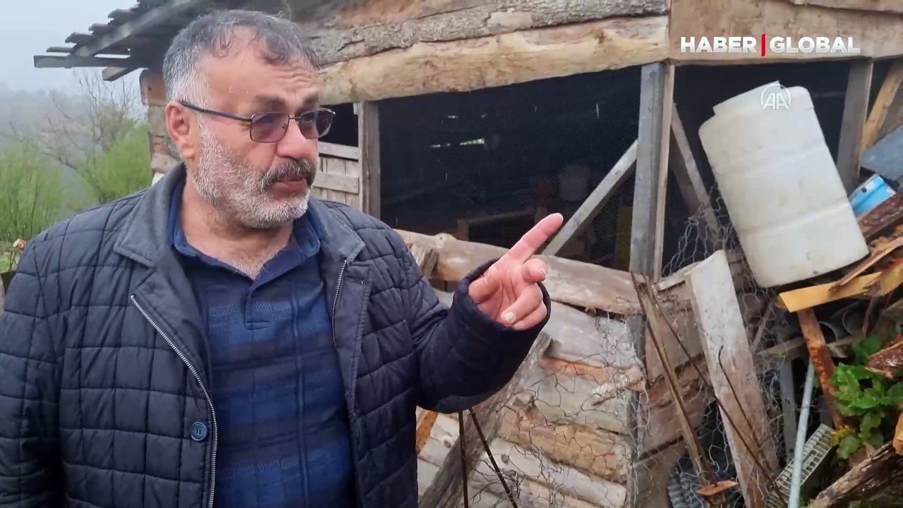Çiftçiden tavuklarını öldüren sansara isyan: Bir koli yumurta kaç para?
