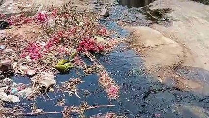 video...इस शहर के हालात कब सुधरेंगे