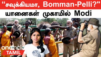 Modi-Bomman and Pelli meet | புகழ் பொம்மன்-பெள்ளி தம்பதியை சந்தித்து மோடி என்ன பேசினார்?