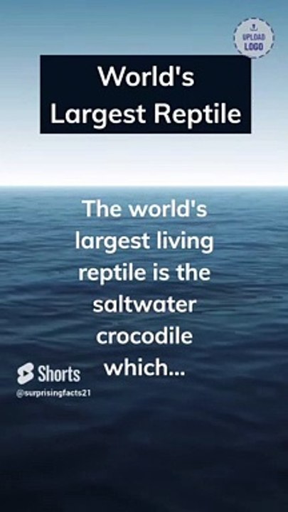 World’s Largest Reptile - video Dailymotion