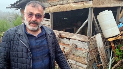 Gülümseten anlar: Tavuklarını telef eden sansara böyle hesap sordu