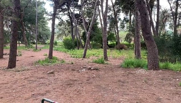 Ordinanze e tempo incerto bloccano la Pasquetta dei palermitani