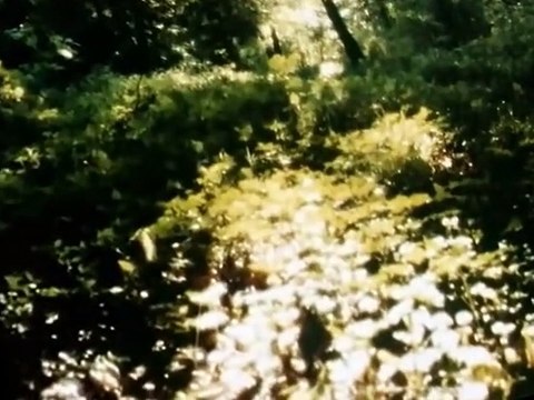 The Wind in the Willows The Wind in the Willows E021 – Harvest