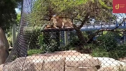 TRY NOT TO LAUGH CHALLENGE ! You Will also Fail | Funny Fails         | Episode # 3