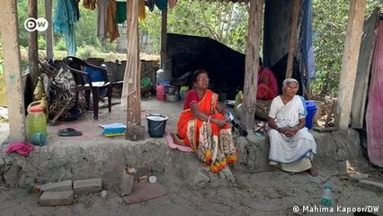 The 'tiger widows' of South Asia's Sundarbans wilderness