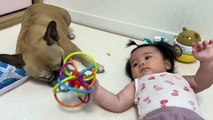 12 Months Of Friendship In 12 Minutes _ My Dog Loves Our Baby