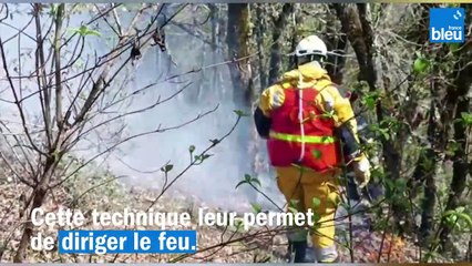 Les pompiers de Dordogne mettent le feu : ils brûlent des parcelles par prévention