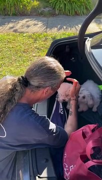 Dad Gets Emotional When Surprised With Two New Puppies