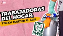 Trabajadoras del hogar: solo 2.4% están afiliadas al IMSS, explica Pedro Tello