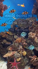 Motivational stetus video