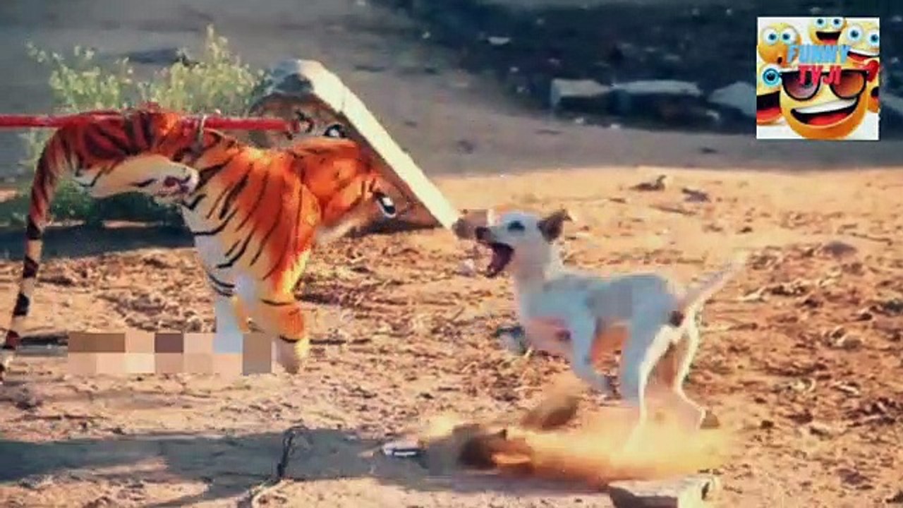 DOG PRANK video2_202326_18