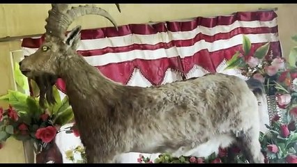 Kharfaq Lake | The Lake Of Ghosts | Travel With Zunair | Zunair Kamboh | Khapluback (3)