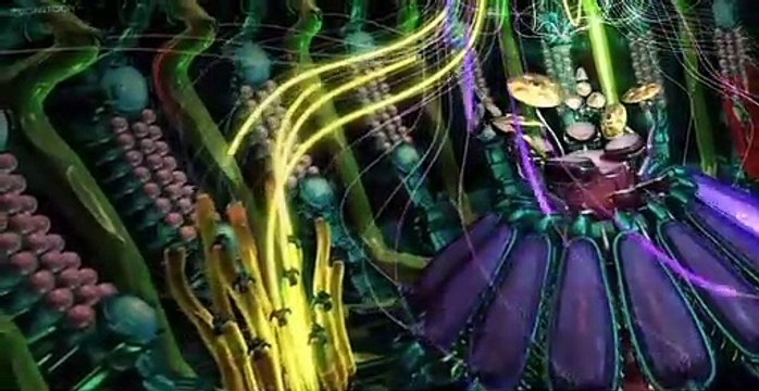 Animusic HD Animusic HD E007 Fiber Bundles