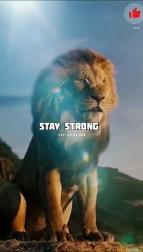 Sigma rule MOTIVATION VIDEO #shorts #motivation #trending