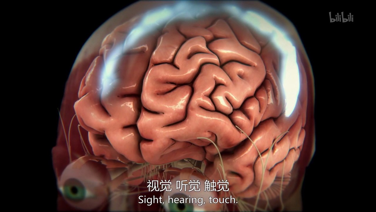 Human Body Pushing The Limits Part 3