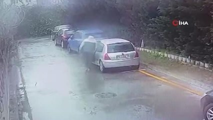 Bağcılar'da Kediler Poşete Konularak Atıldı