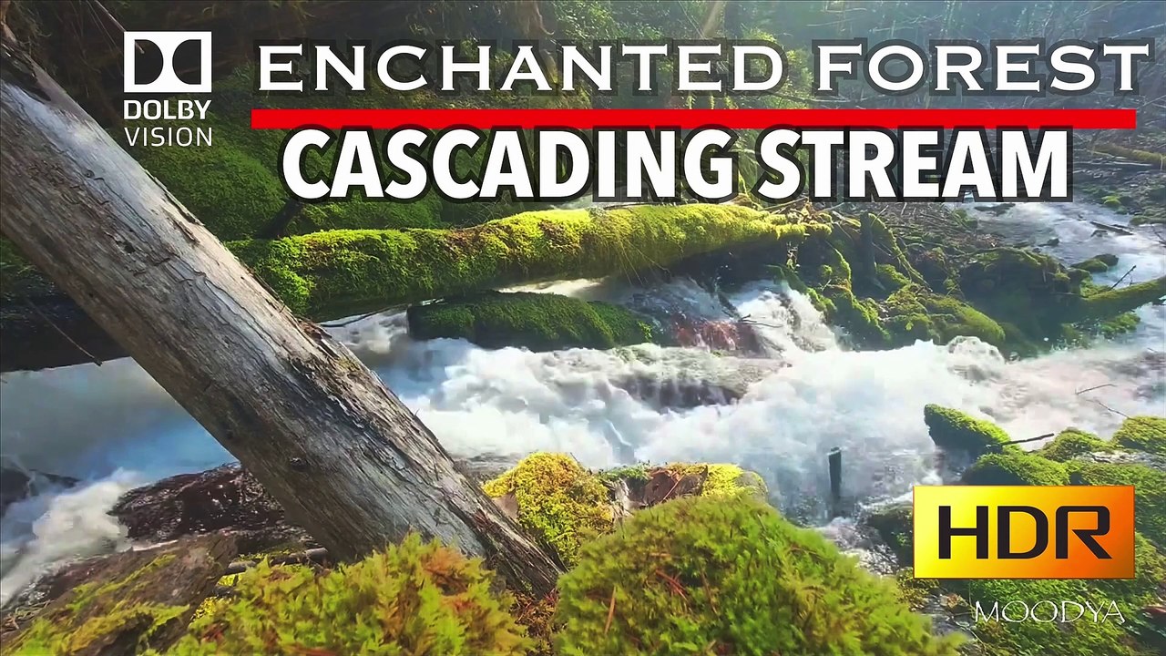 Dolby Vision 4K HDR Video - Dreamy Enchanted Forest Stream - Daily Nature