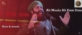 Ali Moula Ali Dam Dam - trending kalam - Sufism - trending qaseeda - Wide Angle - Slow & reverb