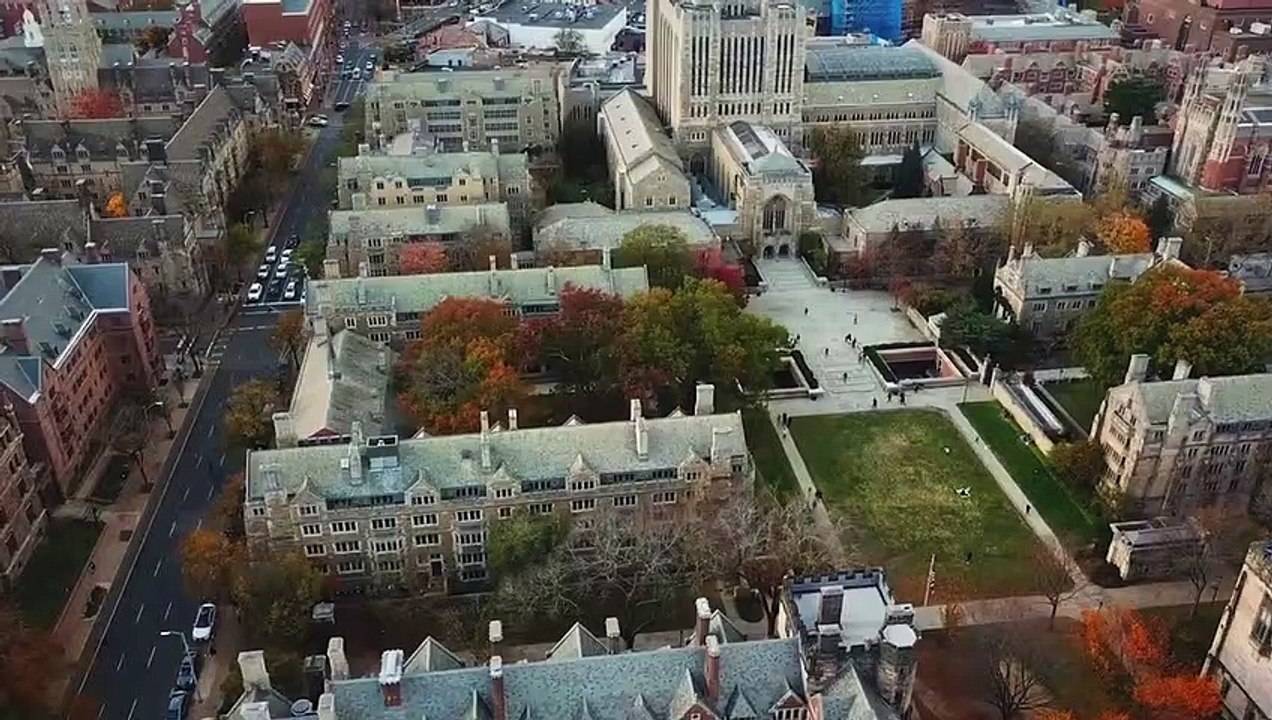 1946: The Mistranslation That Shifted Culture | movie | 2022 | Official Trailer