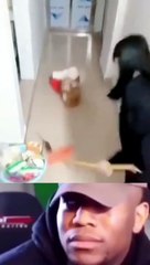 Mouse Catching Funny Moves and Playing