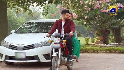 Qalandar Episodeisode 54 - [Eng Sub] - Muneeb Butt - Komal Meer - Ali Abbas - 8th April 2023