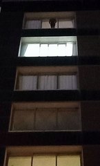 Confusão com "corpo" em janela de apartamento em SC viraliza após mobilizar até a PM