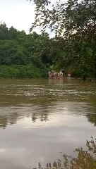 Moradores de três comunidades na proximidade de Itapiúna se arriscam a atravessar transbordamento de Rio Choró andando