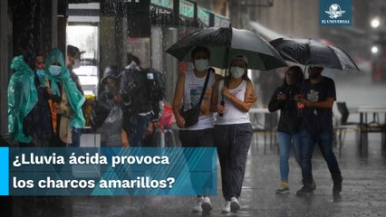 ¿Por qué se forman charcos amarillos en la CDMX después de llover cuando inicia la primavera?