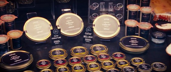 The Innocent | Official HD Trailer 2023 | Palace Films