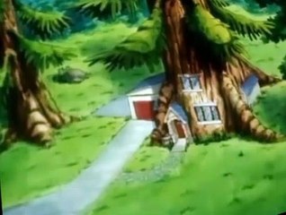 The Raccoons S05 E009 - The Wrong Stuff